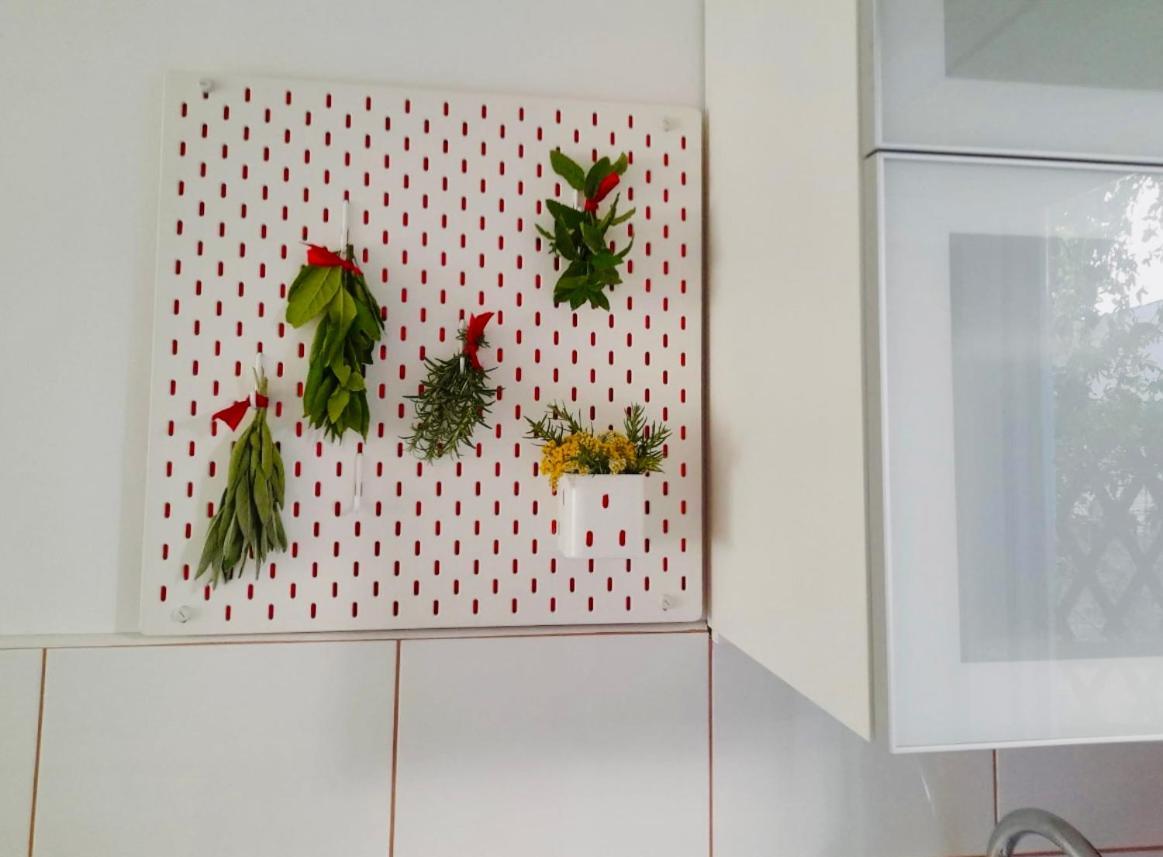 Studio Diana تروغير المظهر الخارجي الصورة